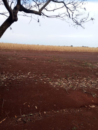 Imagem Fazenda à Venda, 38 m² em Rural - Piraju