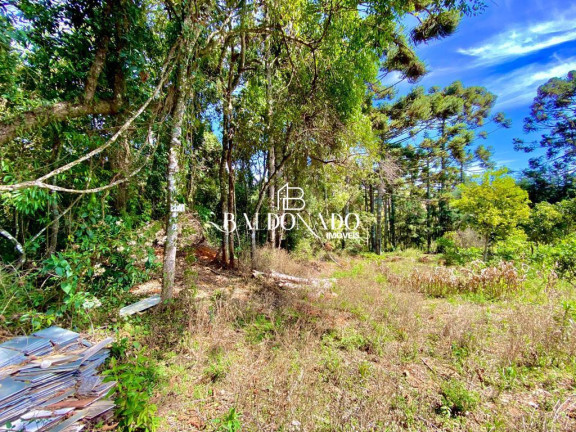 Imagem Fazenda à Venda, 130 m² em Centro - Munhoz Imagem Fazenda à Venda, 130 m² em Centro - Munhoz