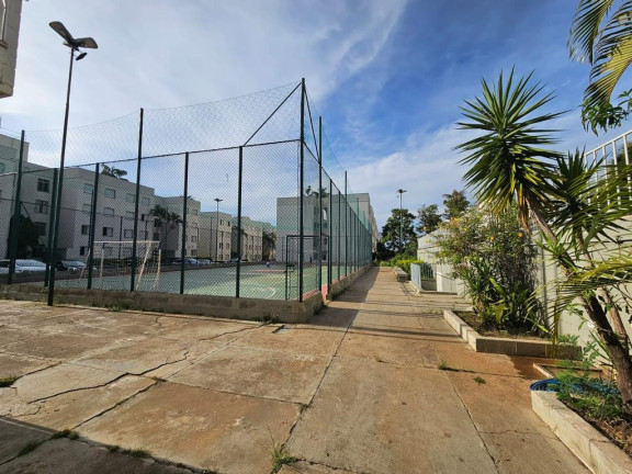 Imagem Apartamento com 2 Quartos à Venda, 55 m² em Jardim Miranda - Campinas Imagem Apartamento com 2 Quartos à Venda, 55 m² em Jardim Miranda - Campinas