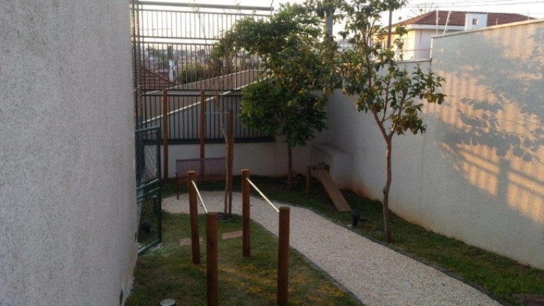 Imagem Apartamento com 3 Quartos à Venda, 67 m² em Tucuruvi - São Paulo