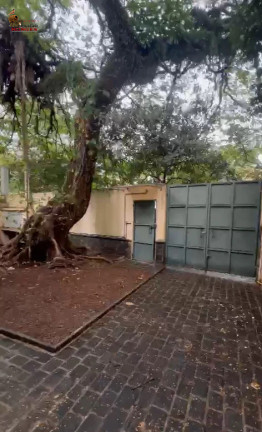 Imagem Casa com 3 Quartos à Venda, 320 m² em Vila Nova Conceição - São Paulo