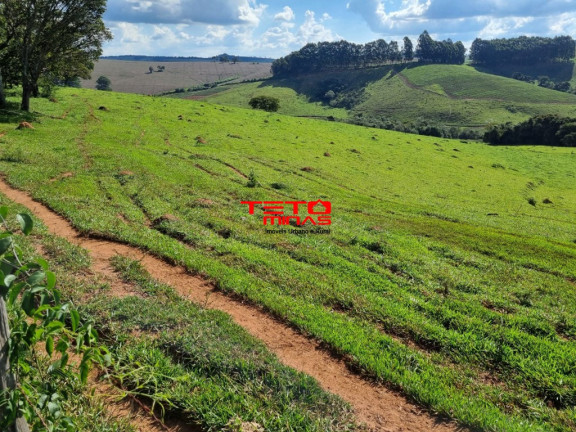 Imagem Imóvel à Venda, 389 m² em 6km Do Municipio - Caldas Imagem Imóvel à Venda, 389 m² em 6km Do Municipio - Caldas