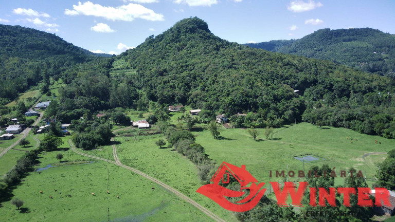 Imagem Chácara à Venda, 110.000 m² em Picada Cara - Feliz Imagem Chácara à Venda, 110.000 m² em Picada Cara - Feliz