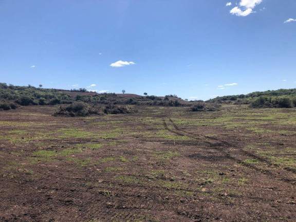Imagem Imóvel com 2 Quartos à Venda, 900 m² em Alegrete Imagem Imóvel com 2 Quartos à Venda, 900 m² em Alegrete