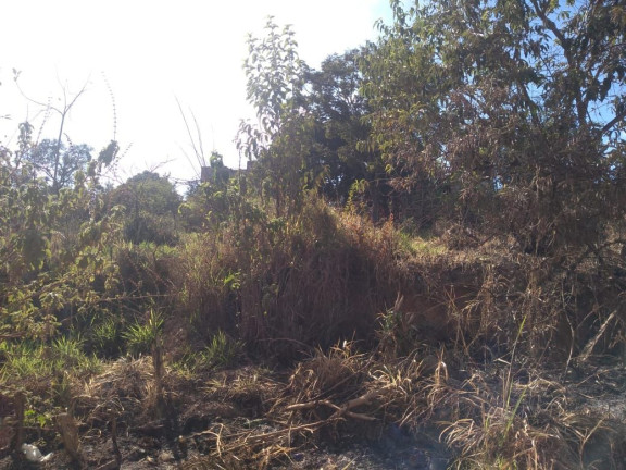 Imagem Terreno à Venda, 402 m² em Vale Das Acácias - Ribeirão Das Neves