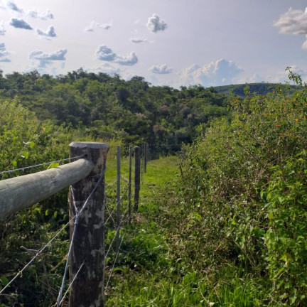 Imagem Fazenda à Venda, 179 m² em Rural - Garça
