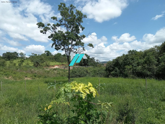 Imagem Fazenda à Venda, 2.500 m² em Serra Negra - Betim Imagem Fazenda à Venda, 2.500 m² em Serra Negra - Betim