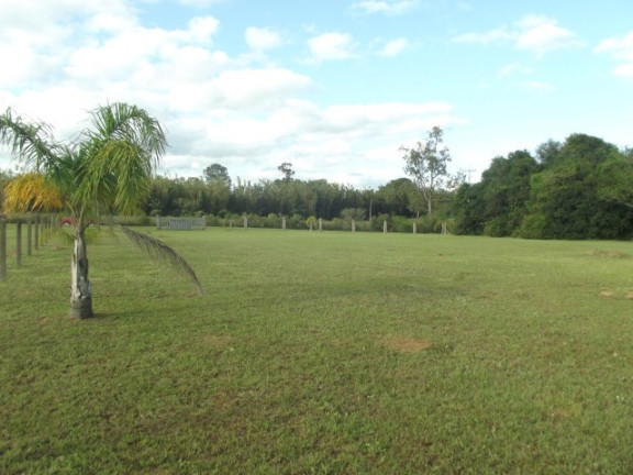 Imagem Chácara à Venda, 4.000 m² em águas Claras - Viamão