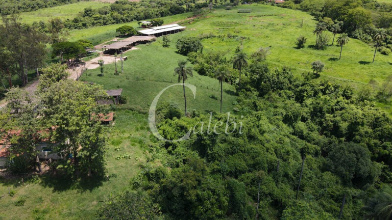 Imagem Chácara com 3 Quartos à Venda, 27 m² em área Rural De Casa Branca - Casa Branca Imagem Chácara com 3 Quartos à Venda, 27 m² em área Rural De Casa Branca - Casa Branca