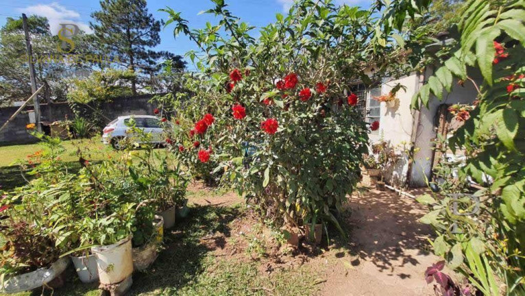 Imagem Terreno à Venda, 2.697 m² em Jundiaizinho - Mairiporã Imagem Terreno à Venda, 2.697 m² em Jundiaizinho - Mairiporã