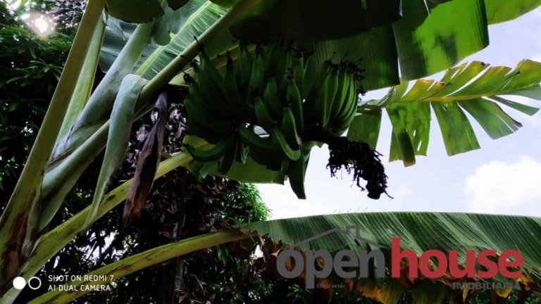 Imagem Casa com 5 Quartos à Venda, 650 m² em Pipa - Tibau Do Sul Imagem Casa com 5 Quartos à Venda, 650 m² em Pipa - Tibau Do Sul