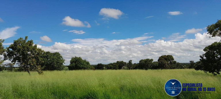 Imagem Fazenda à Venda, 294 m² em Zona Rural - Arraias Imagem Fazenda à Venda, 294 m² em Zona Rural - Arraias