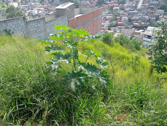 Imagem Terreno à Venda, 125 m² em Jardim Araruama - Cotia Imagem Terreno à Venda, 125 m² em Jardim Araruama - Cotia