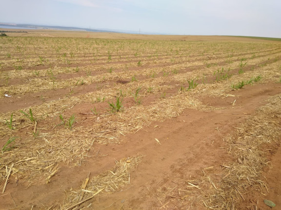 Imagem Imóvel à Venda, 128 m² em Area Rural De Brotas - Brotas Imagem Imóvel à Venda, 128 m² em Area Rural De Brotas - Brotas