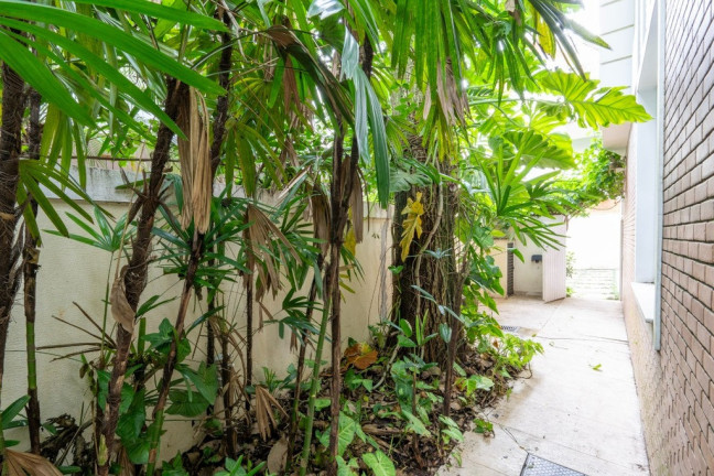Imagem Casa com 5 Quartos à Venda, 424.220 m² em Jardim Petrópolis - São Paulo Imagem Casa com 5 Quartos à Venda, 424.220 m² em Jardim Petrópolis - São Paulo