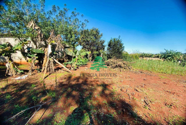 Imagem Chácara com 3 Quartos à Venda, 3.870 m² em Aparecidinha - Santa Terezinha De Itaipu Imagem Chácara com 3 Quartos à Venda, 3.870 m² em Aparecidinha - Santa Terezinha De Itaipu