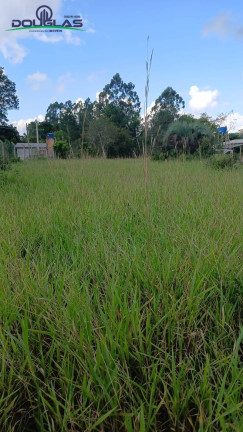 Imagem Terreno à Venda, 2.200 m² em Viamão Imagem Terreno à Venda, 2.200 m² em Viamão