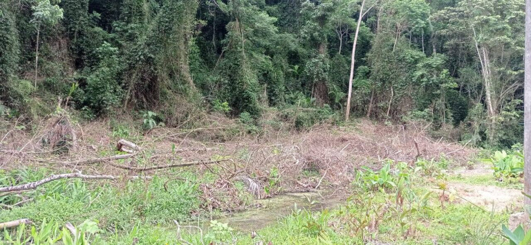 Imagem Terreno em Condomínio à Venda, 484 m² em Massaguaçu - Caraguatatuba Imagem Terreno em Condomínio à Venda, 484 m² em Massaguaçu - Caraguatatuba