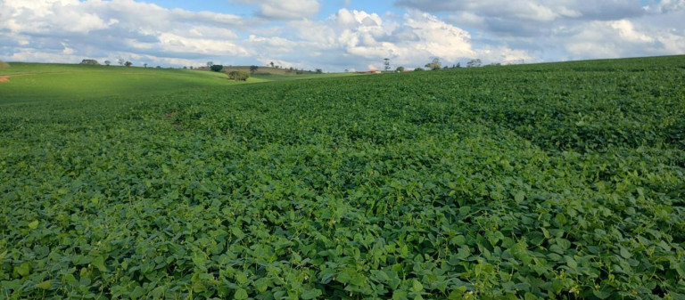 Imagem Fazenda à Venda, 70 m² em Rural - Itapetininga Imagem Fazenda à Venda, 70 m² em Rural - Itapetininga