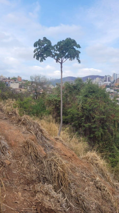 Imagem Terreno à Venda, 367 m² em Havaí - Belo Horizonte