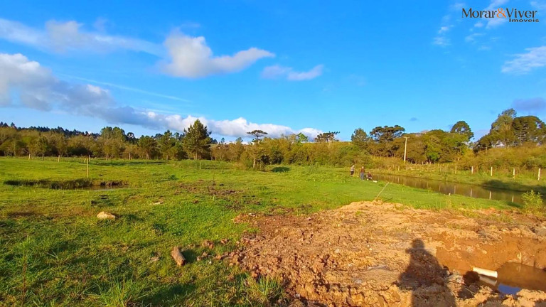 Imagem Chácara à Venda, 32.800 m² em Ambrósio - Tijucas Do Sul