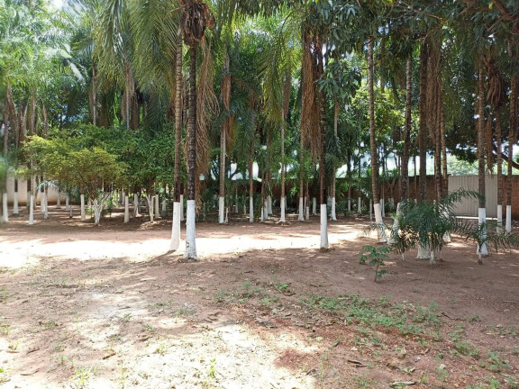 Imagem Ponto Comercial à Venda, 16.000 m² em Souza Lima - Várzea Grande Imagem Ponto Comercial à Venda, 16.000 m² em Souza Lima - Várzea Grande