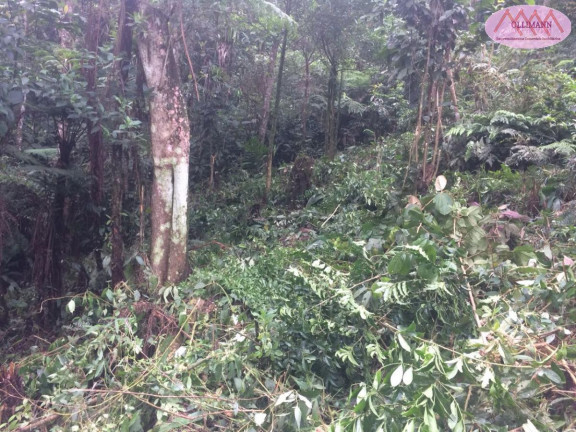 Imagem Terreno à Venda, 1.695 m² em Chácara Carreiras - Santo André