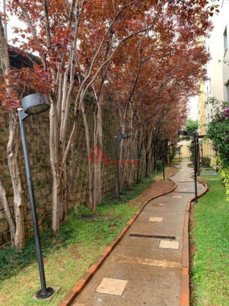 Imagem Apartamento com 2 Quartos à Venda, 46 m² em Paraisópolis - São Paulo Imagem Apartamento com 2 Quartos à Venda, 46 m² em Paraisópolis - São Paulo