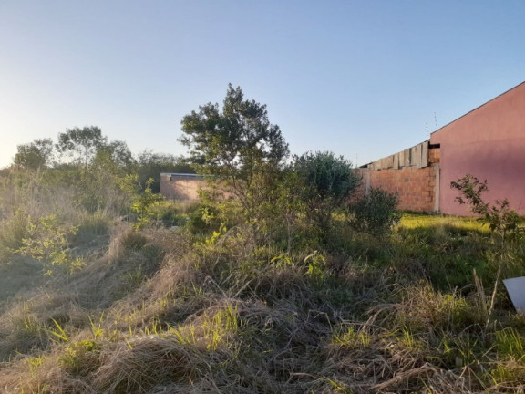 Imagem Terreno à Venda, 600 m² em Diácono João Luiz Pozzobon - Santa Maria