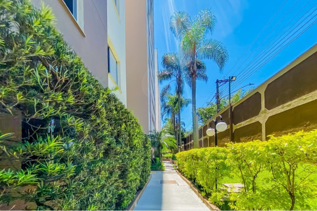 Imagem Apartamento com 3 Quartos à Venda, 55 m² em Jardim Santa Terezinha (zona Leste) - São Paulo Imagem Apartamento com 3 Quartos à Venda, 55 m² em Jardim Santa Terezinha (zona Leste) - São Paulo