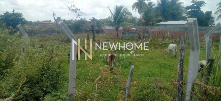 Imagem Terreno à Venda, 750 m² em Candeias - Jaboatão Dos Guararapes Imagem Terreno à Venda, 750 m² em Candeias - Jaboatão Dos Guararapes