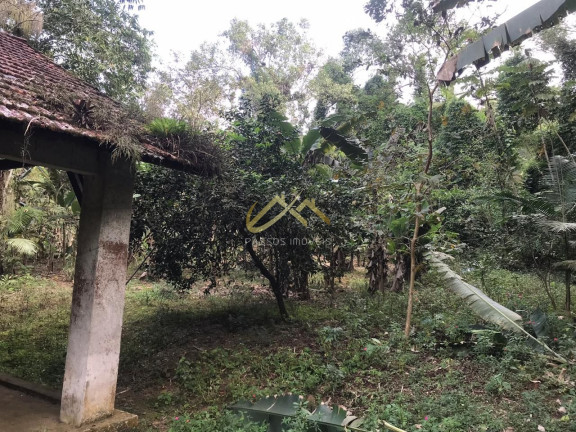 Imagem Terreno à Venda, 32 m² em Horto Florestal - Ubatuba Imagem Terreno à Venda, 32 m² em Horto Florestal - Ubatuba