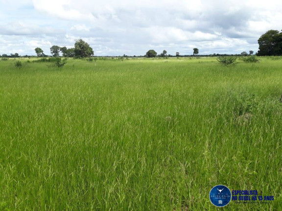 Imagem Fazenda à Venda, 1 m² em Zona Rural - Araguaiana Imagem Fazenda à Venda, 1 m² em Zona Rural - Araguaiana