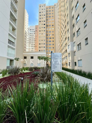 Apartamento com 2 Quartos à Venda, 38 m² em Várzea Da Barra Funda - São Paulo