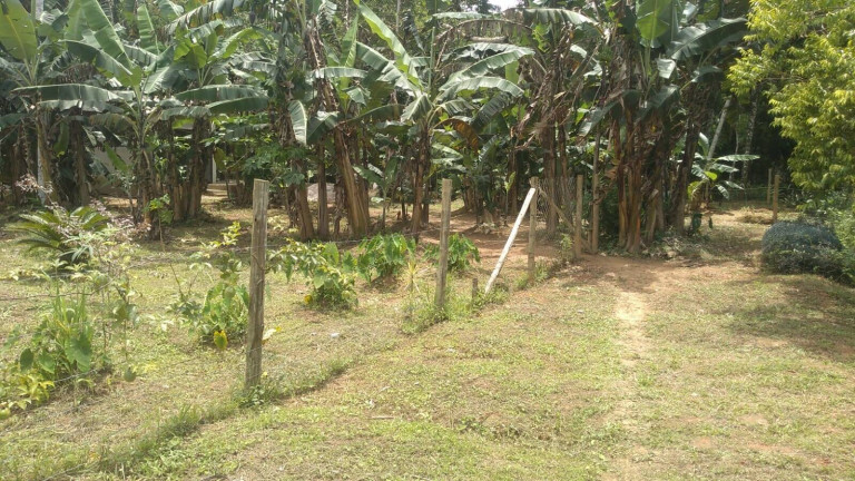 Imagem Chácara com 1 Quarto à Venda, 1.000 m² em Praia Da Maranduba - Ubatuba