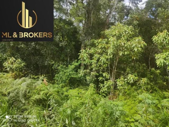 Imagem Imóvel à Venda, 20.000 m² em Sao Silvestre - Campo Largo Imagem Imóvel à Venda, 20.000 m² em Sao Silvestre - Campo Largo