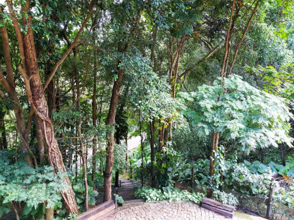 Imagem Casa de Condomínio com 4 Quartos à Venda, 1.108 m² em São Sebastião Das águas Claras - Nova Lima