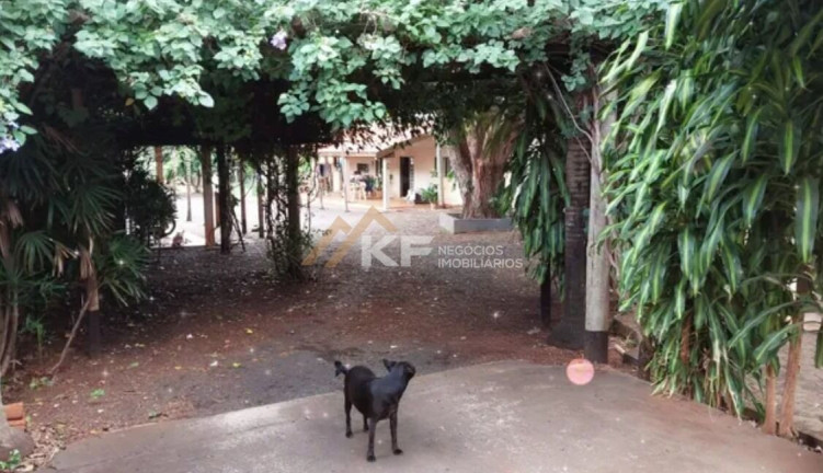 Imagem Imóvel com 5 Quartos à Venda, 2.000 m² em Recreio Das Acácias - Ribeirão Preto Imagem Imóvel com 5 Quartos à Venda, 2.000 m² em Recreio Das Acácias - Ribeirão Preto