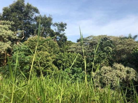 Imagem Terreno à Venda, 674 m² em Chácara Moinho Velho - Carapicuíba Imagem Terreno à Venda, 674 m² em Chácara Moinho Velho - Carapicuíba