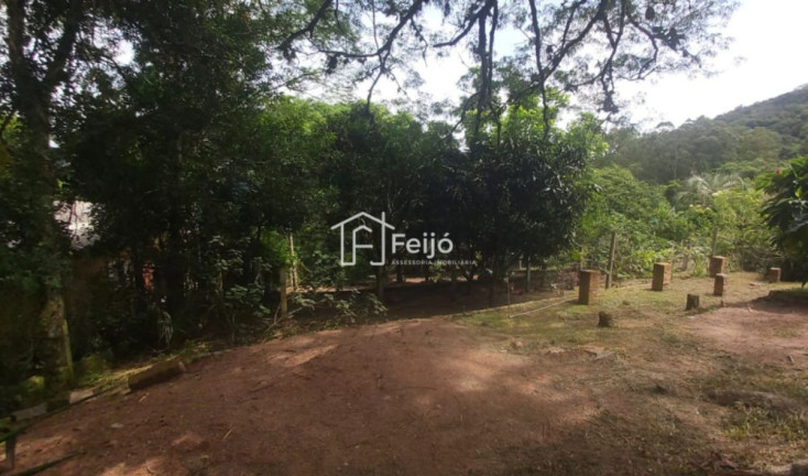 Imagem Fazenda à Venda, 6.000 m² em Lageado - Porto Alegre