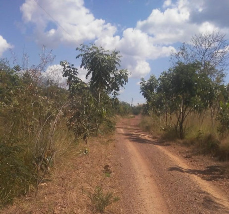 Imagem Imóvel à Venda,  em Região Central Do Tocantins - Pedro Afonso