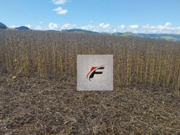 Imagem Fazenda à Venda, 3.775.200 m² em Centro - Pitanga Imagem Fazenda à Venda, 3.775.200 m² em Centro - Pitanga