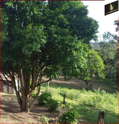 Imagem Imóvel com 2 Quartos à Venda, 32.000 m² em Rio Da Areia - Lapa Imagem Imóvel com 2 Quartos à Venda, 32.000 m² em Rio Da Areia - Lapa