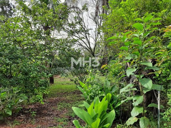 Imagem Imóvel com 1 Quarto à Venda, 130 m² em Parque São Bento - Sumaré Imagem Imóvel com 1 Quarto à Venda, 130 m² em Parque São Bento - Sumaré