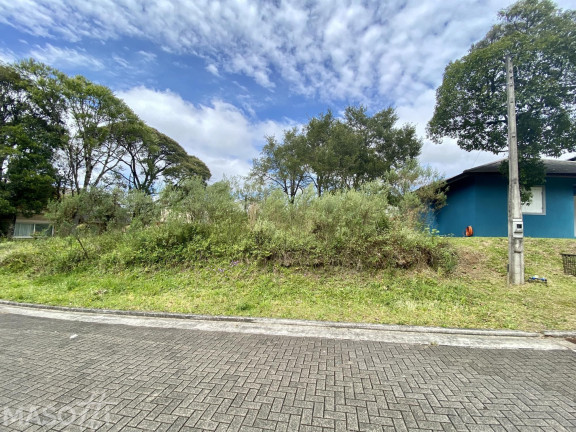 Imagem Terreno à Venda, 450 m² em Avenida Central - Gramado Imagem Terreno à Venda, 450 m² em Avenida Central - Gramado