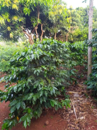 Imagem Imóvel com 2 Quartos à Venda, 100 m² em Zona Rural - Ibiporã