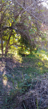 Imagem Terreno à Venda, 255 m² em Loteamento Vale Das Flores - Atibaia Imagem Terreno à Venda, 255 m² em Loteamento Vale Das Flores - Atibaia