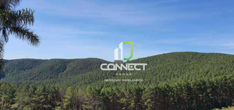 Imagem Fazenda à Venda, 4.477.000 m² em Zona Rural - Bocaiúva Do Sul
