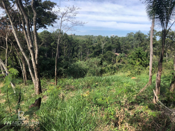 Imagem Terreno à Venda, 378 m² em Centro - Bom Jesus Dos Perdões