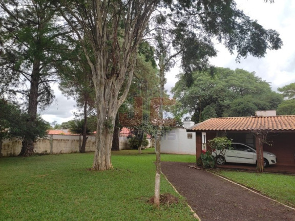 Imagem Imóvel com 3 Quartos à Venda, 5.000 m² em Recreio Internacional - Ribeirão Preto Imagem Imóvel com 3 Quartos à Venda, 5.000 m² em Recreio Internacional - Ribeirão Preto